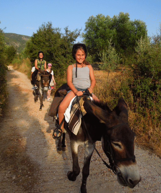 DONKEY TRAIL