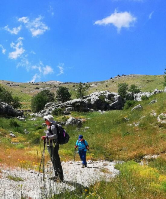 HIKING